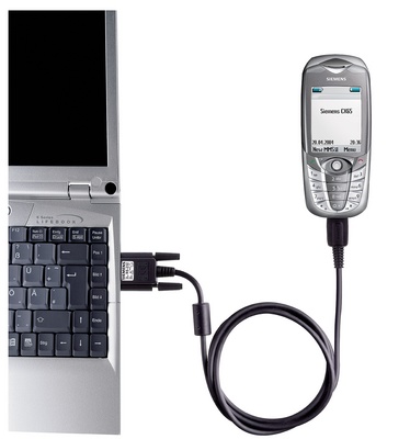 pic_1350_med.jpg