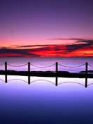 Bridge.jpg