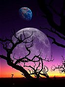Moon.jpg