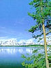 1320049.jpg