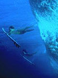 Surfin.jpg