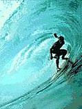 Surfing.jpg