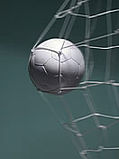 Sport.jpg