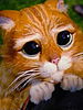 pussy.jpg
