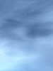 got_blued.jpg